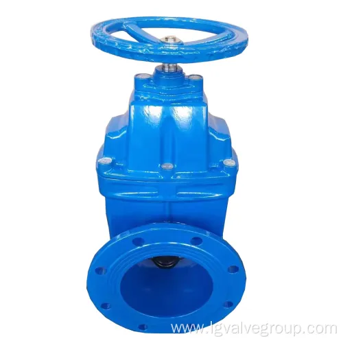 BS5163 Elastic Seat Seal Gate Valve